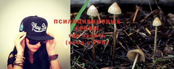 каннабис Алексин