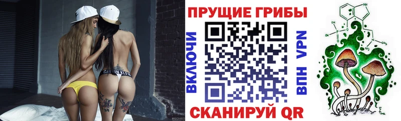 Псилоцибиновые грибы ЛСД  Грязи 
